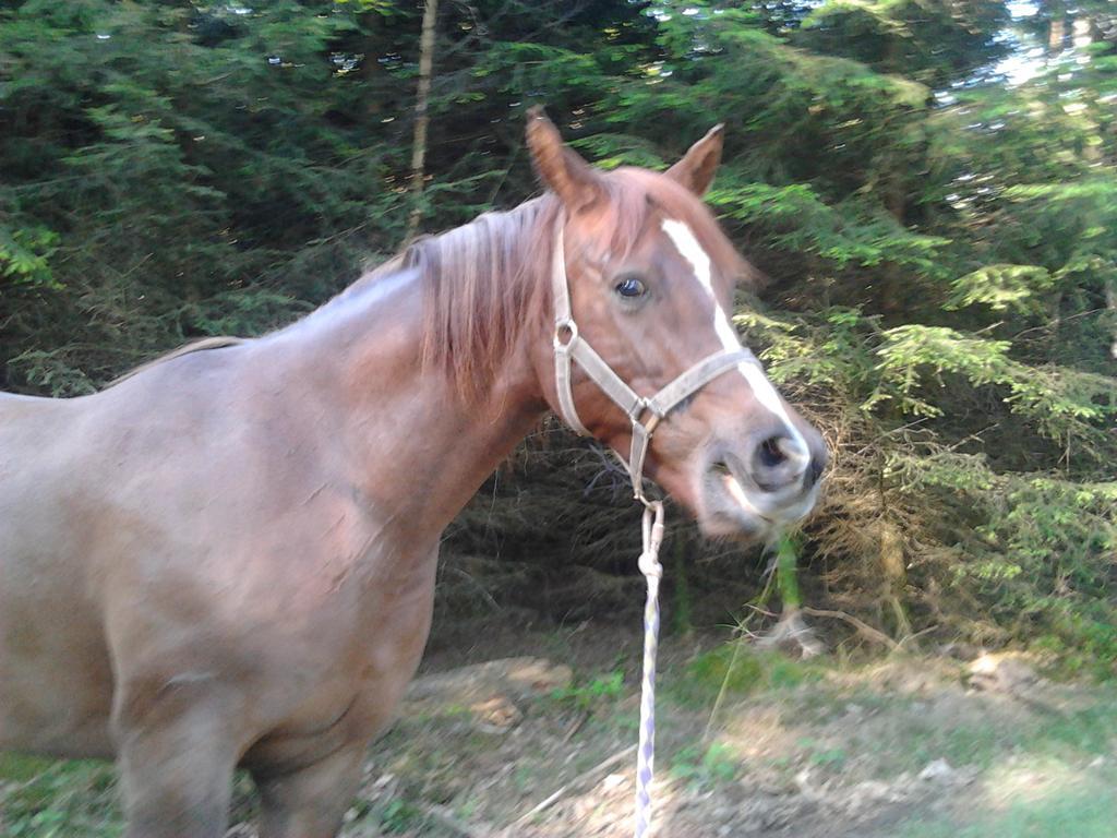 Gite Bella Ebly Esterno foto